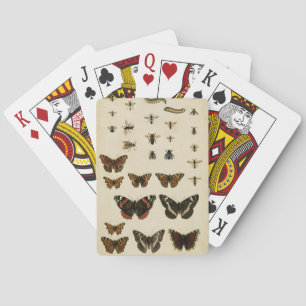 Jeu De Cartes Garden Insects by Vision Studio