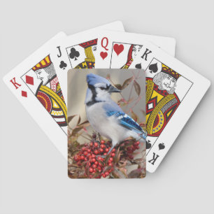 Jeu De Cartes Geai bleu dans le bambou céleste Nandina