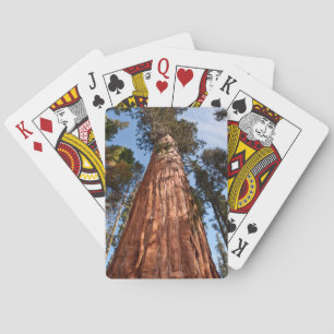 Jeu De Cartes Géant Séquoia S'élève