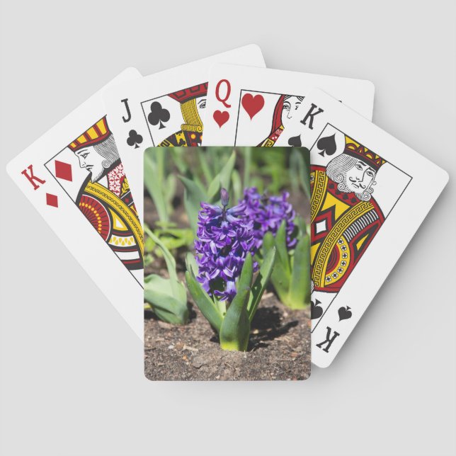 Jeu De Cartes Géocinthe bleu au printemps (dos)
