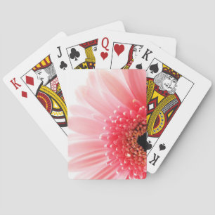 Jeu De Cartes Gerbera Daisy