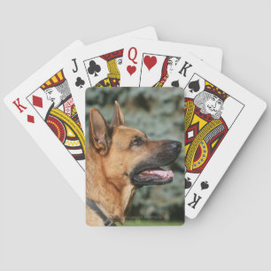 Jeu De Cartes German Shepherd Headshot 1