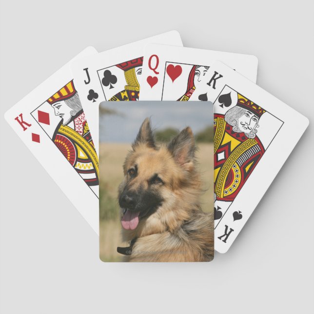 Jeu De Cartes German Shepherd Sticking Tongue Out (dos)