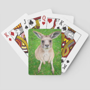 Jeu De Cartes Getty Images   Baby Kangaroo