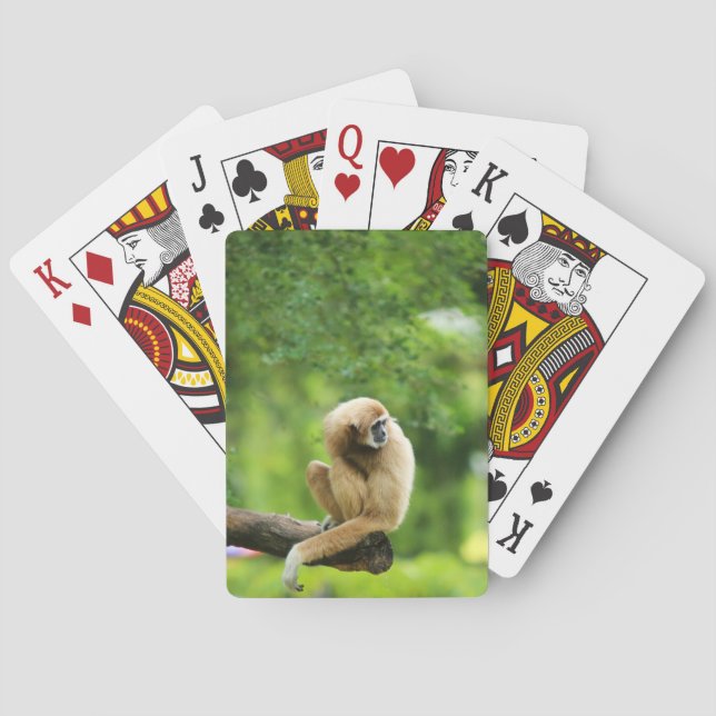 Jeu De Cartes Gibbon blanc sur un arbre (dos)