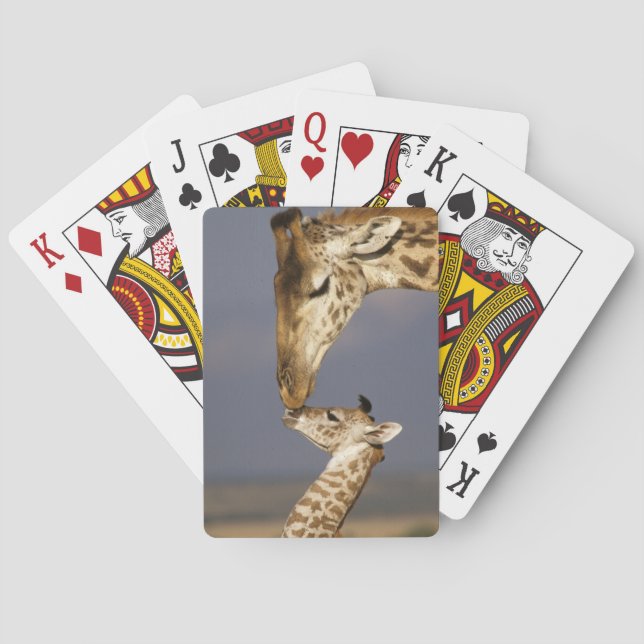 Jeu De Cartes Girafe embrassant un bébé girafe (dos)