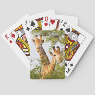 Jeu De Cartes Girafe Pékin au-dessus de la végétation