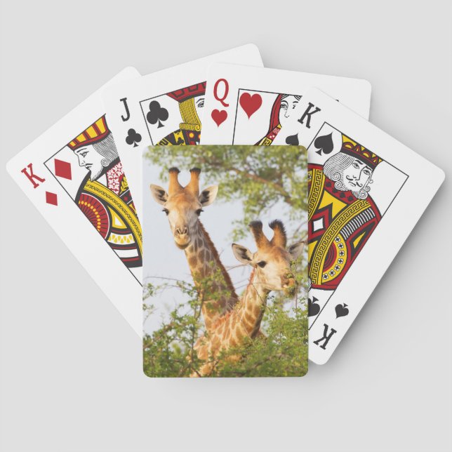 Jeu De Cartes Girafes dépassant la végétation (dos)