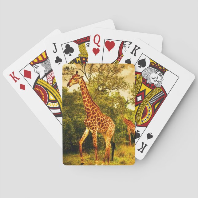 Jeu De Cartes Girafes sud-africaines (dos)