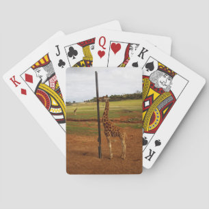 Jeu De Cartes Giraffe Lique Son Pôle,