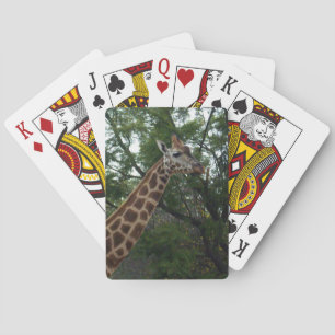 Jeu De Cartes Giraffe Se Promenant Dans Les Parklands,