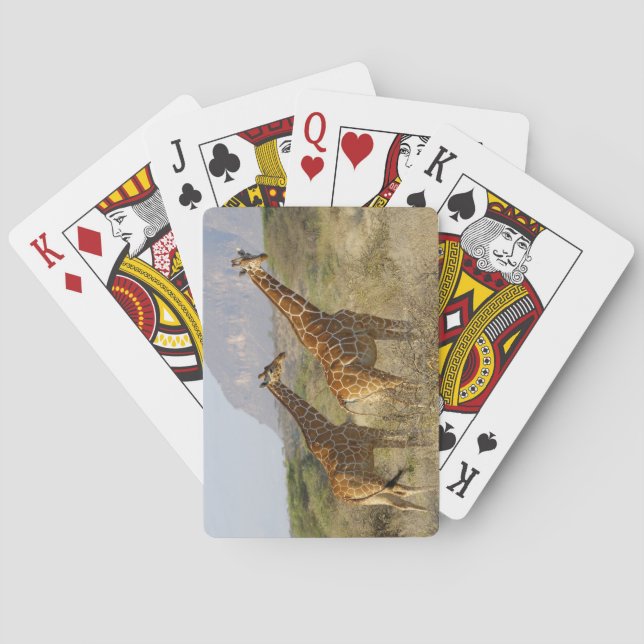 Jeu De Cartes Giraffe somalienne, Giraffe réticulée, Giraffa (dos)