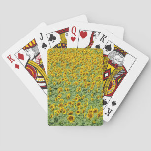 Jeu De Cartes Gisement jaune de tournesol