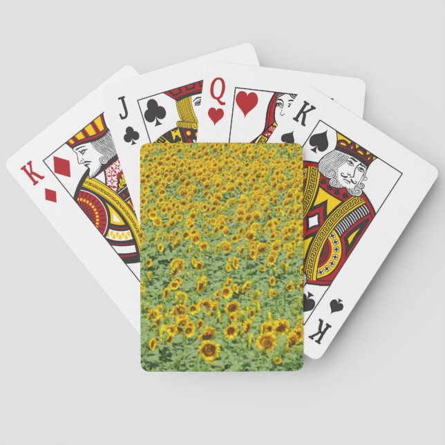 Jeu De Cartes Gisement jaune de tournesol (dos)
