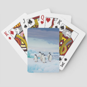 Jeu De Cartes Glace et neige   Adelie Penguins Antarctique