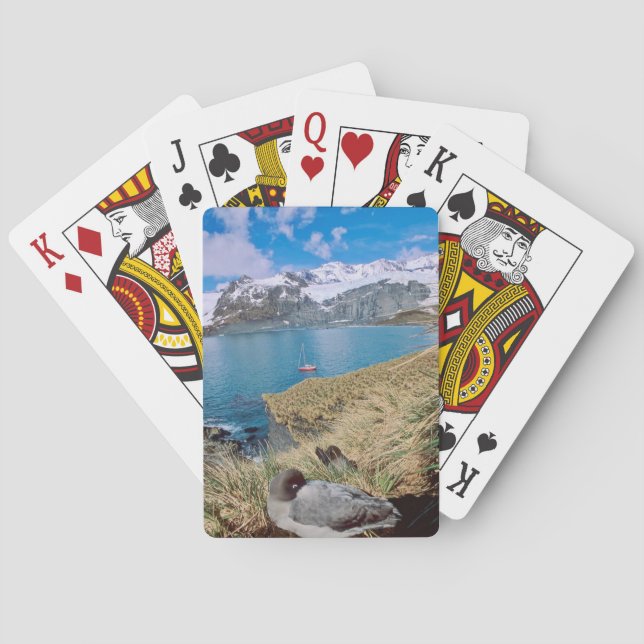 Jeu De Cartes Glaciers et voilier en arrière - plan (dos)