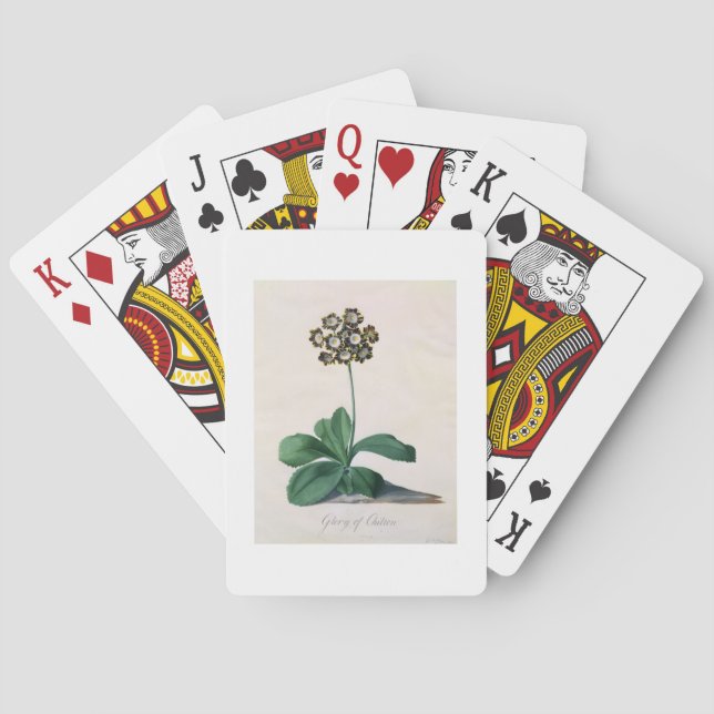 Jeu De Cartes Glory of Chilton (gouache on vellum) (dos)