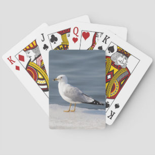 Jeu De Cartes Goéland sur glace