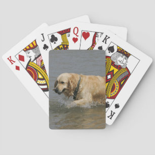 Jeu De Cartes Golden Retriever