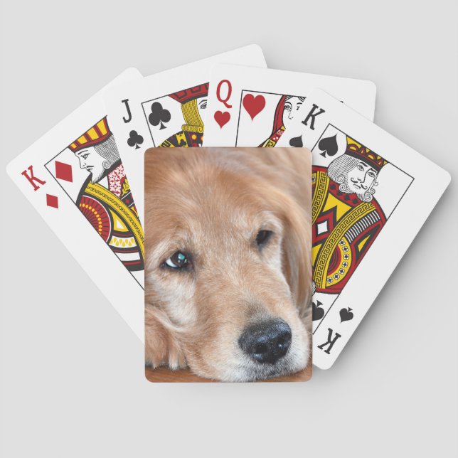 Jeu De Cartes Golden Retriever Closeup (dos)