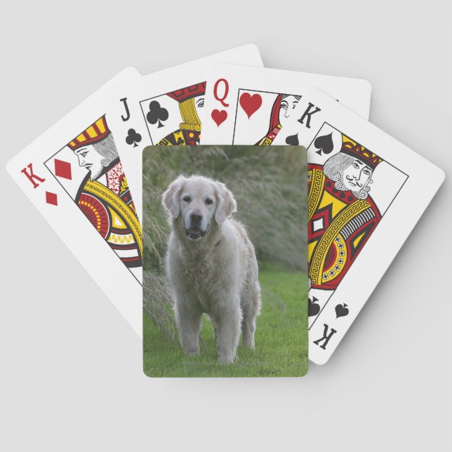 Jeu De Cartes Golden Retriever en course 2 (dos)