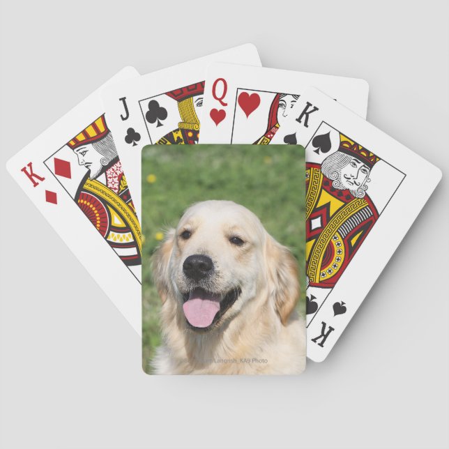 Jeu De Cartes Golden Retriever Headshot 1 (dos)