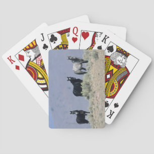 Jeu De Cartes Golden Retriever Headshot 3 Deck Of C - Personnali