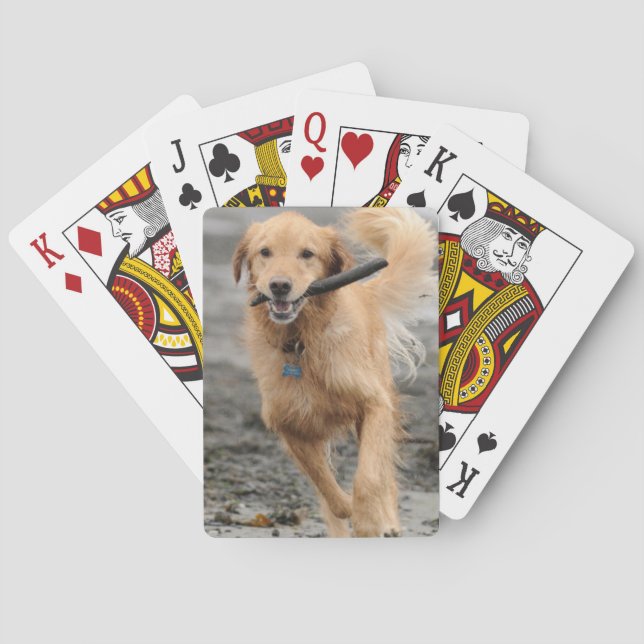 Jeu De Cartes Golden Retriever Running With Stick In Mouth (dos)