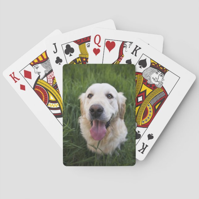 Jeu De Cartes Golden Retriever souriant (dos)