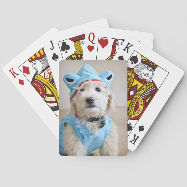 Jeu De Cartes Goldendoodle En Costume De Requin (dos)