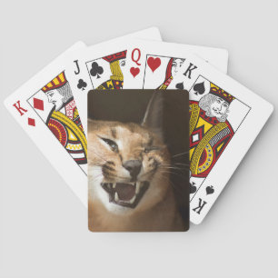 Jeu De Cartes Goofy Lynx