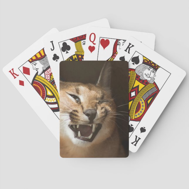 Jeu De Cartes Goofy Lynx (dos)