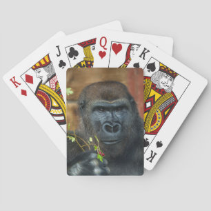 Jeu De Cartes Gorilla Et Ses Berries