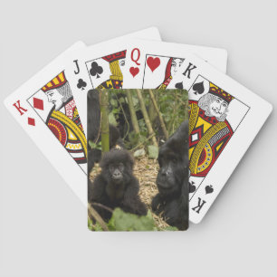 Jeu De Cartes Gorille des montagnes, adulte avec jeune