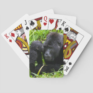 Jeu De Cartes Gorille des montagnes bébé embrasse un gorille dos
