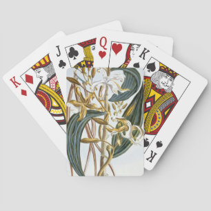 Jeu De Cartes Gousses de vanille, planche 65, de 'Collection Pre