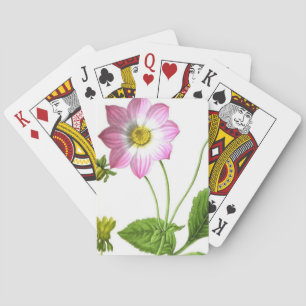 Jeu De Cartes Grâce