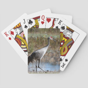 Jeu De Cartes Graine de Sandhill