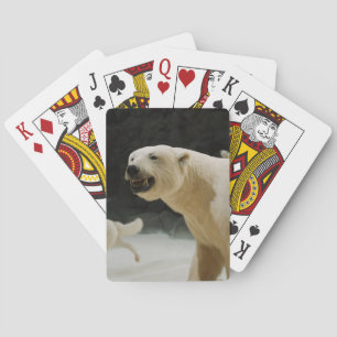Jeu De Cartes Graine d'ours polaire