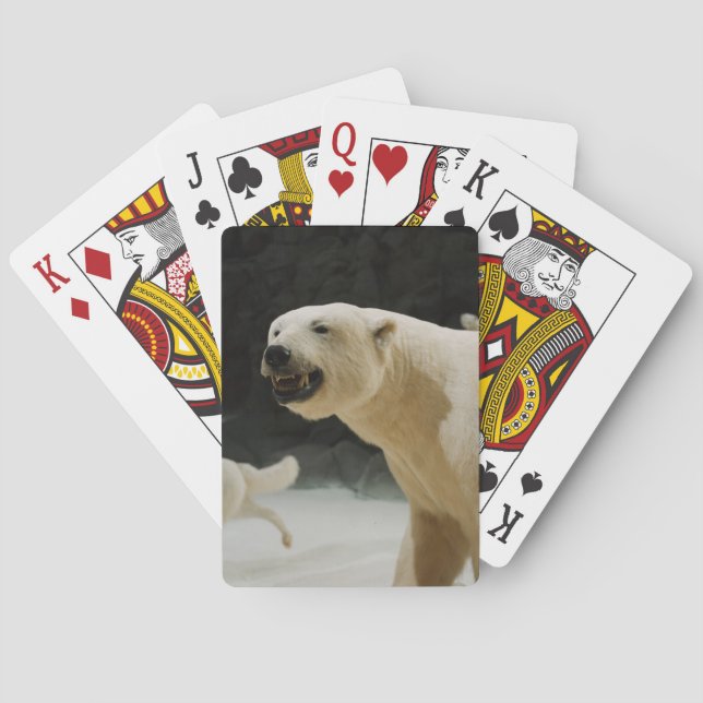 Jeu De Cartes Graine d'ours polaire (dos)