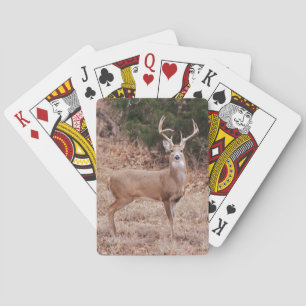 Jeu De Cartes Grand Cerf Sauvage Bois Grand Texas Cerf