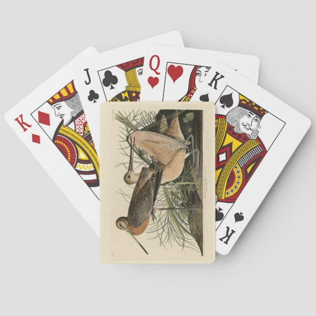 Jeu De Cartes Grand Godwit marbré - Les oiseaux d'Amérique d'Aud (dos)