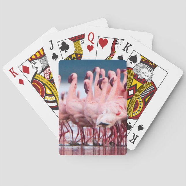 Jeu De Cartes Grand Groupe De Flamants Nains (dos)