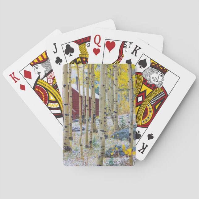 Jeu De Cartes Grand Mesa Cabane isolée dans une forêt (dos)