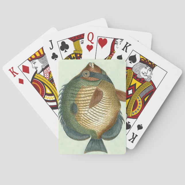 Jeu De Cartes Grand Poisson Coloré (dos)
