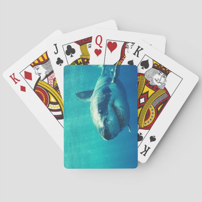 JEU DE CARTES GRAND REQUIN BLANC 1 (dos)