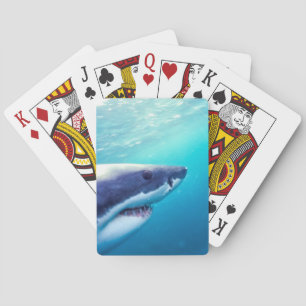 Jeu De Cartes Grand requin blanc Afrique du Sud