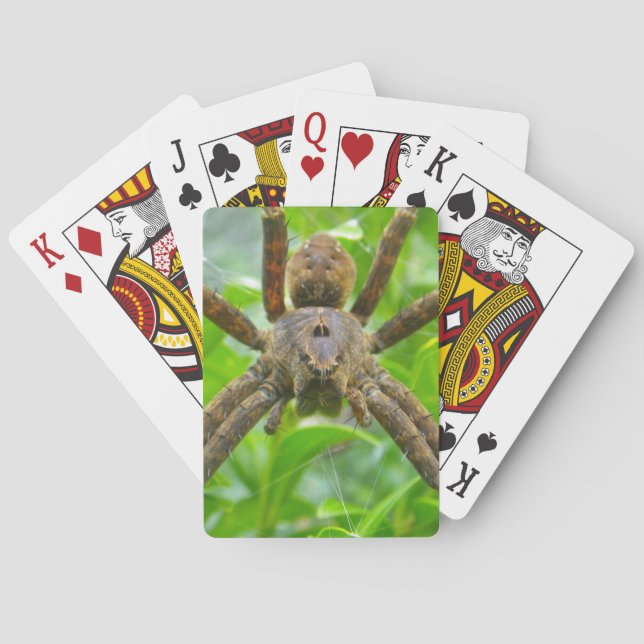 Jeu De Cartes Grande araignée Brown (dos)