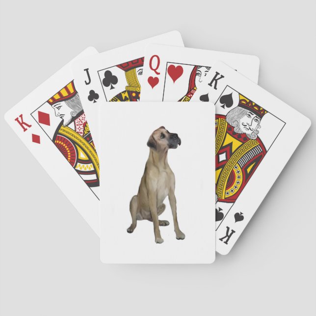 Jeu De Cartes Grande Danse - FawnSit - oreilles naturelles (dos)