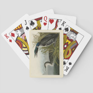 Jeu De Cartes Grande plongeur du Nord Loon Audubon Oiseaux d'Amé